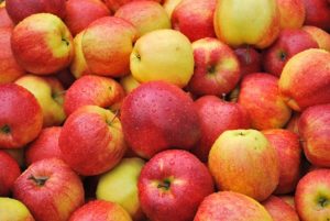 apples-537x359
