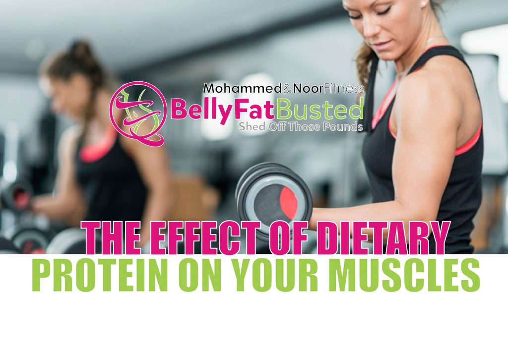 THE EFFECT OF DIETARY PROTEIN ON YOUR MUSCLES
